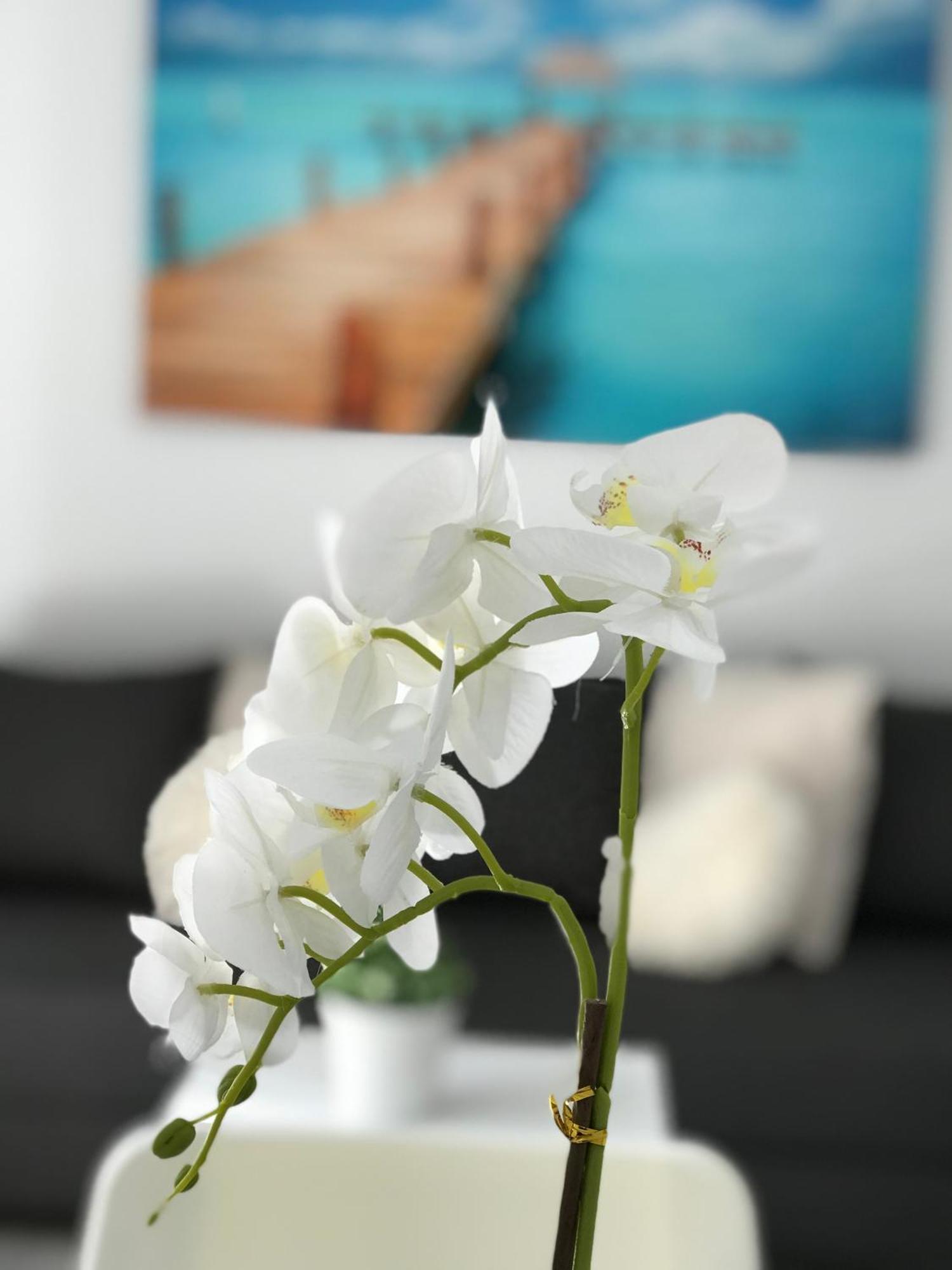 Apartament Side Heaven